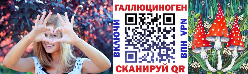 хочу   Кропоткин  Псилоцибиновые грибы MAGIC MUSHROOMS 